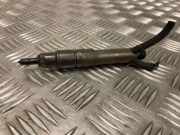 Einspritzdüse VW GOLF VII Variant (BA5, BV5) 1.6 TDI 028130202J