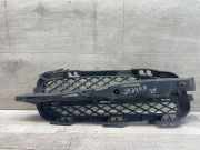 Gitter vorne unten JAGUAR XF (X250) 2.2 D 8X2315K232