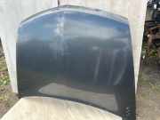 Motorhaube RENAULT VEL SATIS (BJ0_) 2.2 dCi (BJ0E, BJ0F)