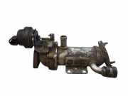 Abgaskühler Renault Laguna III (T) 876481V