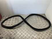 Türgummi rechts hinten BMW 4er Gran Coupe (F36) 7401894