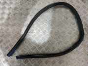Türgummi links vorne Audi A5 Cabriolet (8F) 8F0831707