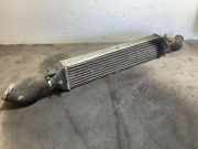 Ladeluftkühler OPEL COMBO Furgon/Estate 1.3 CDTI 16V 866455500