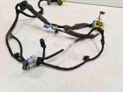 Kabel der vorderen linken Tür