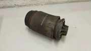 Luftfederkissen hinten links MERCEDES-BENZ GLE (W166) AMG 43 4-matic (166.064) A1643200625