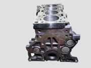Motorblock VW PASSAT ALLTRACK B8 (3G5) 2.0 TDI 4motion CRL