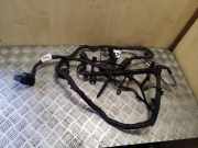 Motor Kabelbaum AUDI TT (8J3) 2.0 TDI quattro 8J0971072BD