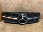 Vorderer oberer Gitter MERCEDES-BENZ SL (R230) 350 (230.467) A1638880086