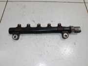 Einspritzleiste Chevrolet Captiva (C100, C140) 96868901