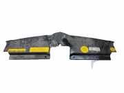 Anzeigetafel Rahmen CITROËN C4 Grand Picasso I (UA_) 2.0 i 16V 9654195380