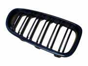 Vorderer oberer Gitter BMW 5 (F10) 520 d