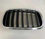 Vorderer oberer Gitter BMW X5 (F15, F85) xDrive 40 d 7316054