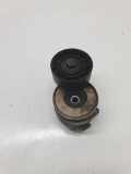 Riemenspanner OPEL SIGNUM 1.9 CDTI 55190813