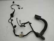 Türverkabelung hinten links MERCEDES-BENZ E (W213) E 220 d (213.004) A2135406831