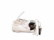 Kraftstofftankpumpe RENAULT LAGUNA Coupe (DT0/1) 2.0 dCi 10025460100