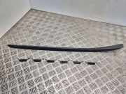 Windlauf BMW X1 (F48) 735061005