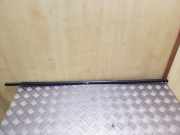 Türverkleidung links hinten BMW X5 (E70)