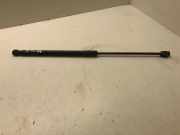Heckklappe Gasdruckfeder links CITROËN DS4 2.0 HDi 165 9801060880