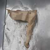 Fensterwaschtank RENAULT MASTER II Minibus / passenger (JD) 2.5 dCi 8200146985