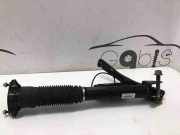 Stoßdämpfer hinten links MERCEDES-BENZ GLS (X166) 350 d 4-matic (166.824) A1663263100