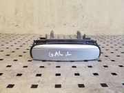 Türaußengriff hinten links