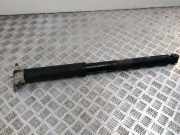 Stoßdämpfer hinten links FORD FOCUS IV (HN) 1.0 EcoBoost BV6118080