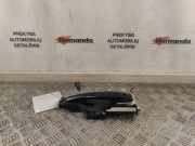 Türaußengriff links RENAULT KADJAR (HA_, HL_) 1.6 TCe 165 806060294R 806068605R