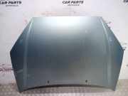 Motorhaube Ford Focus Turnier (DNW)