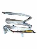 SRS Modul Dach links AUDI A3 (8P1) 2.0 TFSI 8P4880742E
