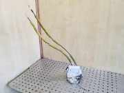 Türschloss vorne rechts MAZDA 3 Sedan (BL) 1.6 MZR CD