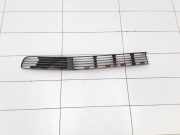 Gitter vorne unten VW PASSAT Variant B5 (3B5) 1.9 TDI