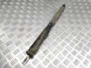 Stoßdämpfer hinten rechts