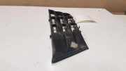 Gitter vorne unten RENAULT LAGUNA II (BG0/1_) 1.9 dCi (BG08, BG0G) 20101013
