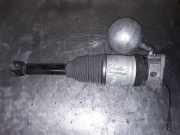 Stoßdämpfer links hinten VW Phaeton (3D) 3D0616001H