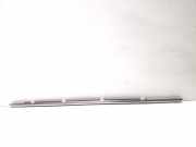 Türverkleidung rechts hinten Kia Sorento III (UM)