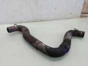 Schlauch Kühlung TOYOTA PRIUS Hatchback (_W2_) 1.5 (NHW2_)