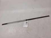 Türleiste hinten links CITROËN C4 Grand Picasso I (UA_) 2.0 HDi 138