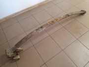 Blattfeder hinten links IVECO DAILY III Furgon/Estate 29 L 12 V (ALKA41A2, ALLA52A2, ALKA42A2)