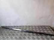 Türfensterleiste hinten links INFINITI EX 30d