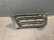 Gitter vorne unten RENAULT GRAND SCÉNIC II (JM0/1_) 1.5 dCi (JM02, JM13) PO009509