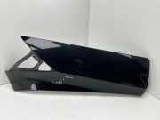 Schutzleiste Kotflügel Ford C-Max II (DXA) AM51U29613A