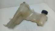 Ausgleichsbehälter RENAULT LAGUNA III (BT0/1) 2.0 dCi (BT01, BT09, BT12, BT1S) 217100014R