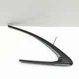 Left Side Body Moulding