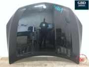 Motorhaube Mercedes-Benz M-Klasse (W166) A1668800057