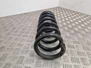 Schraubenfeder hinten links