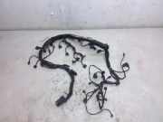 Motor Kabelbaum JEEP COMPASS (MK49) 2.2 CRD 4x4 A6511590125 A0525453926