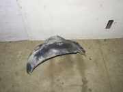 Innenkotflügel vorne links