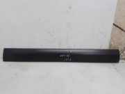 Türleiste vorne links FIAT SCUDO Flatbed (220_) 1.9 D