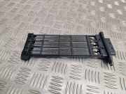 Kühler Renault Grand Scenic III (JZ) T1001732A