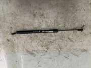 Heckklappe Gasdruckfeder links SUZUKI GRAND VITARA II (JT, TE, TD) 1.9 DDiS 4WD (TD44, JT419, JB419WD) 6A09